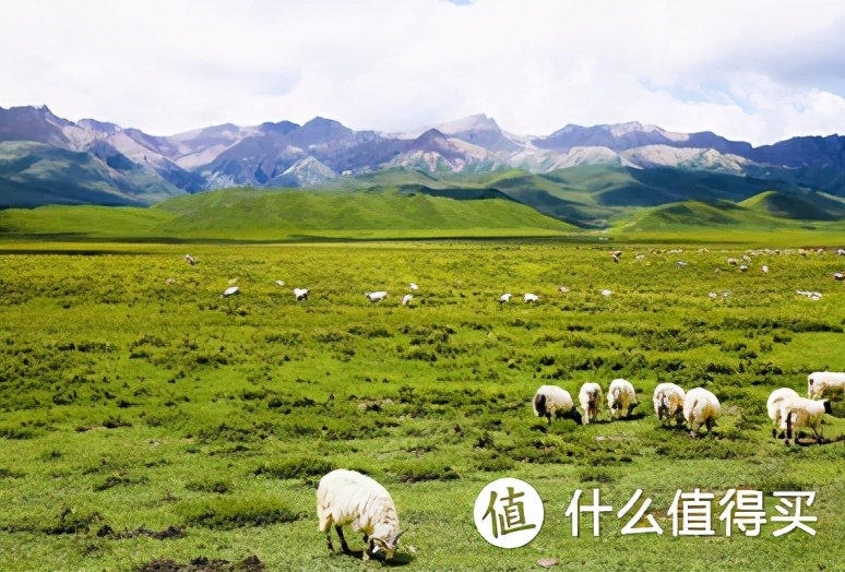 大西北应该怎么玩？？？甘肃青海超详细旅游攻略