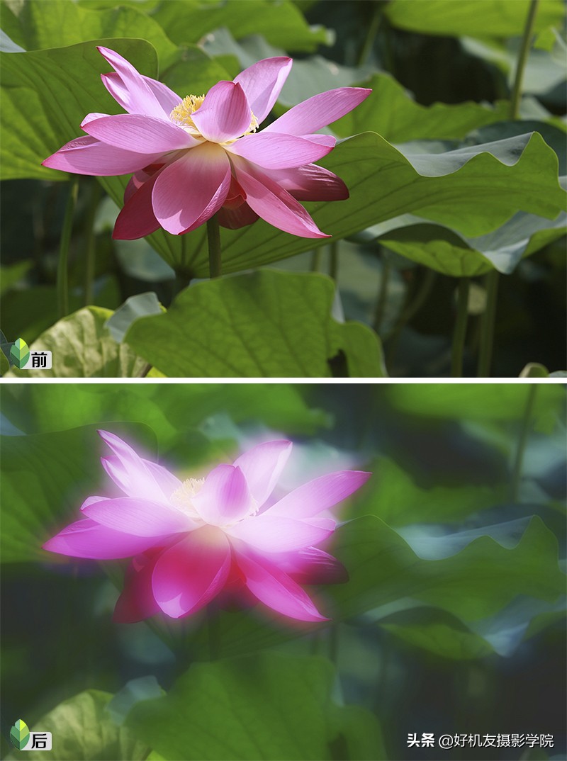 提升社交形象、玩转微商、参加摄影赛，这种手机修片技能将成主流