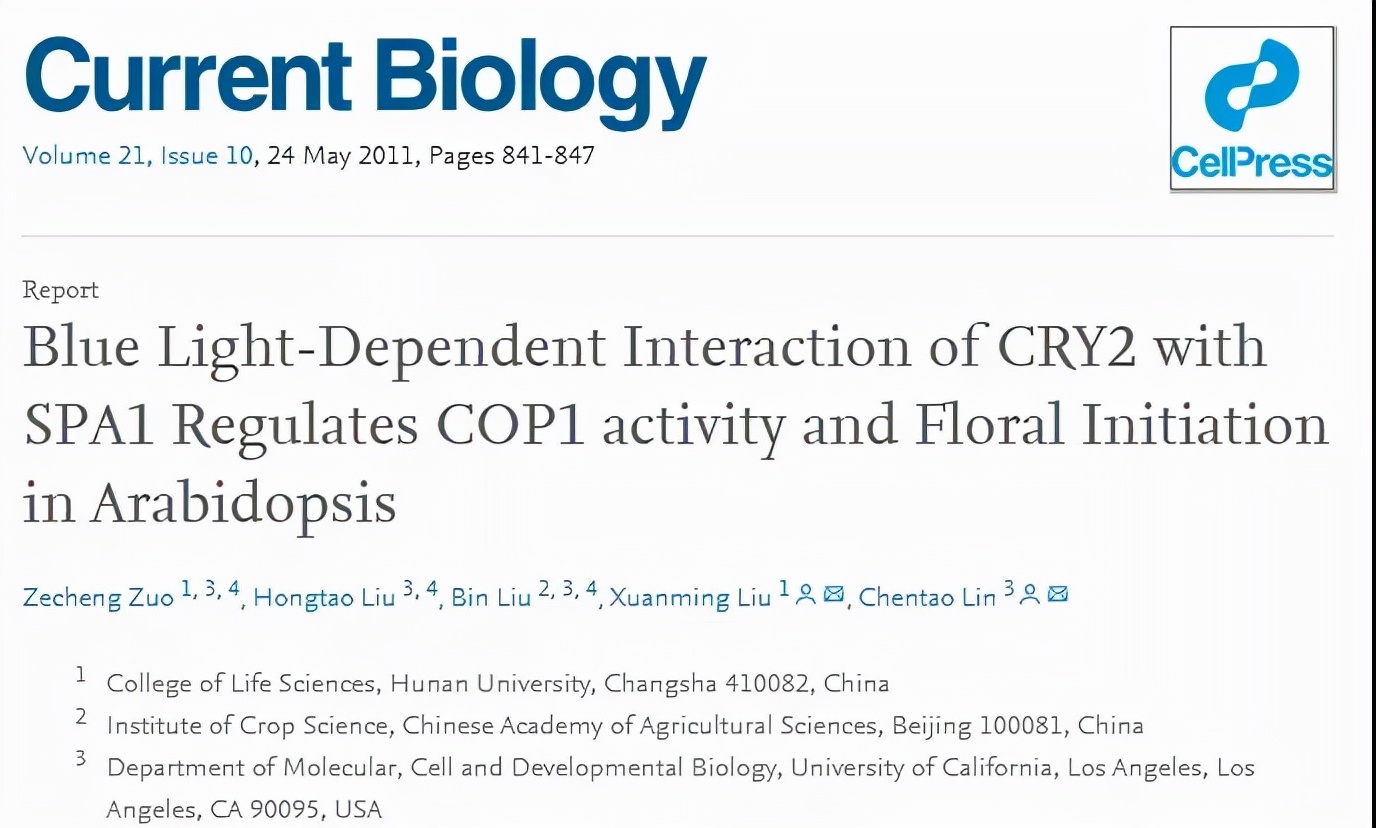 国际关注！东北“超牛”教师：研究步入世界前沿，成果登顶《自然》《科学》！
