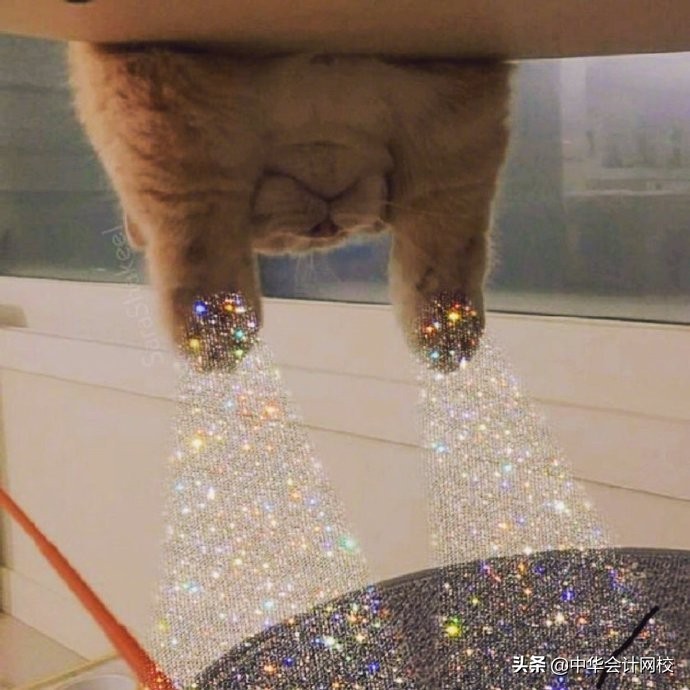 单位熟女会计 51P（厉害）