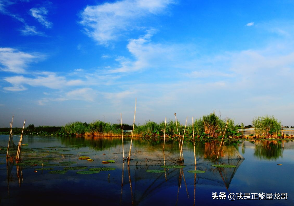 北國江南,北地西湖,白洋淀的美麗景色會讓你心動嗎?