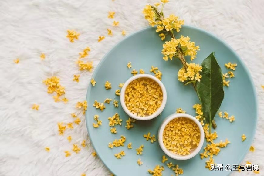 借一枝桂花抒怀，眷写流年：花开广寒今又是，一枝独秀香如旧