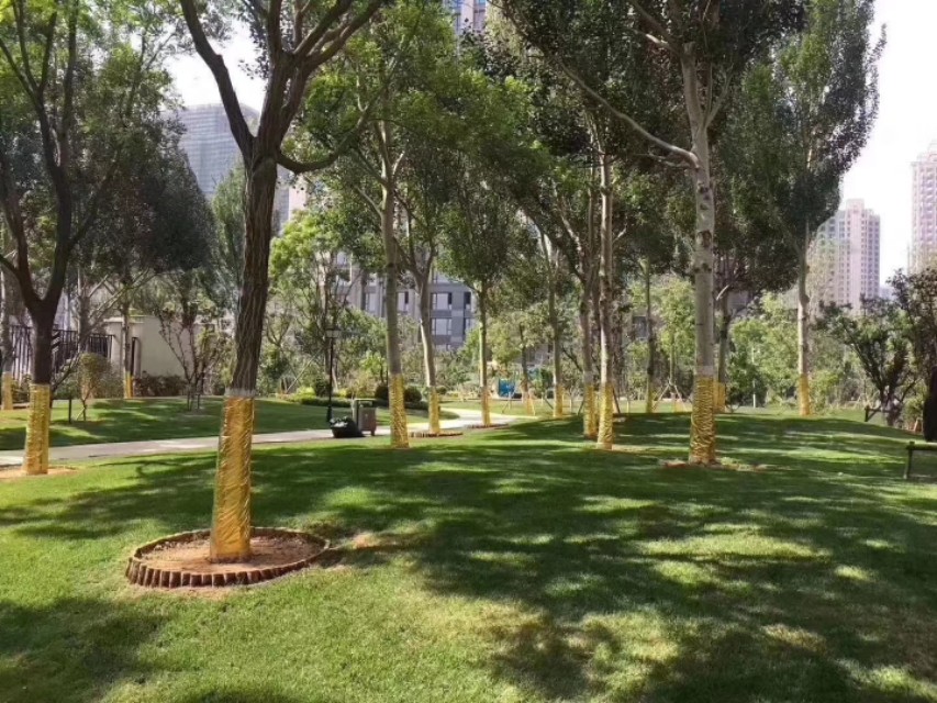 老子《道德经 · 第四章》原文、译文及注释