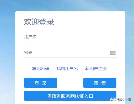 输入姓名查询社保缴费明细 第3张