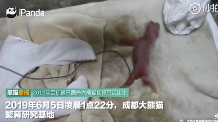 “霸道”女副行长：逼出轨丈夫砍手指，把下属当佣人驱使