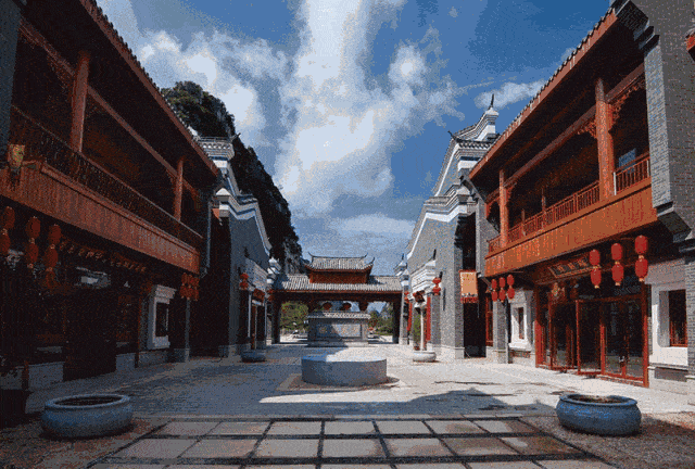 辛杏林学院·杏林教育集团简介