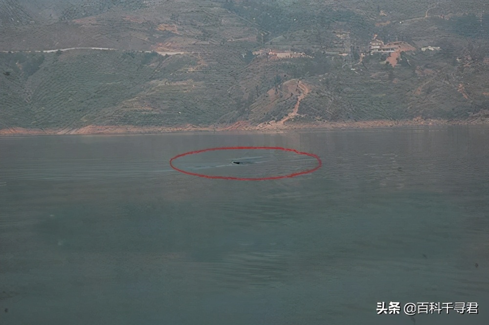 牂牁湖水怪：被称为中国最清晰的水怪视频，为何没火起来？