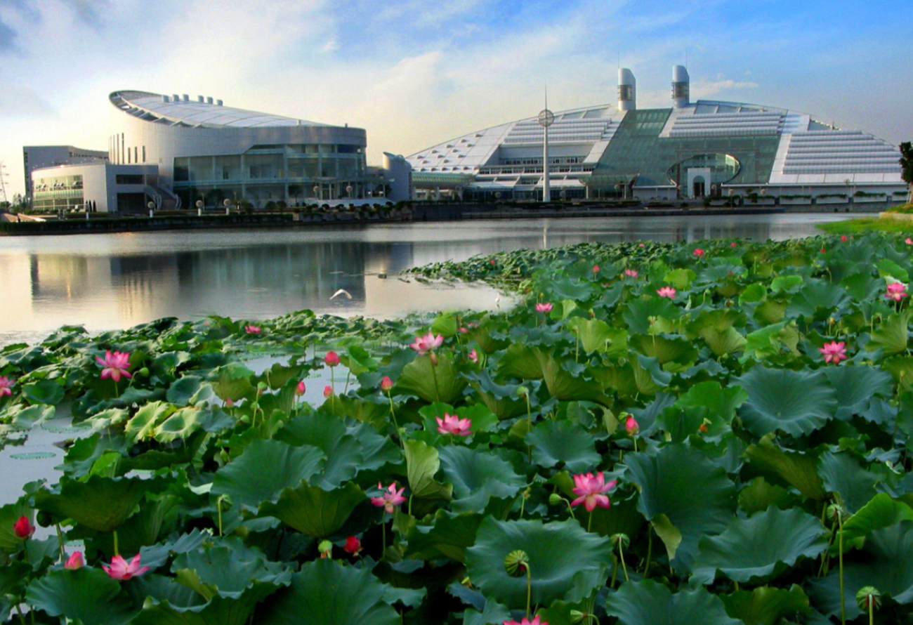 985大学的6个档次，浙大在第三档，武大在第四档，差别真的大