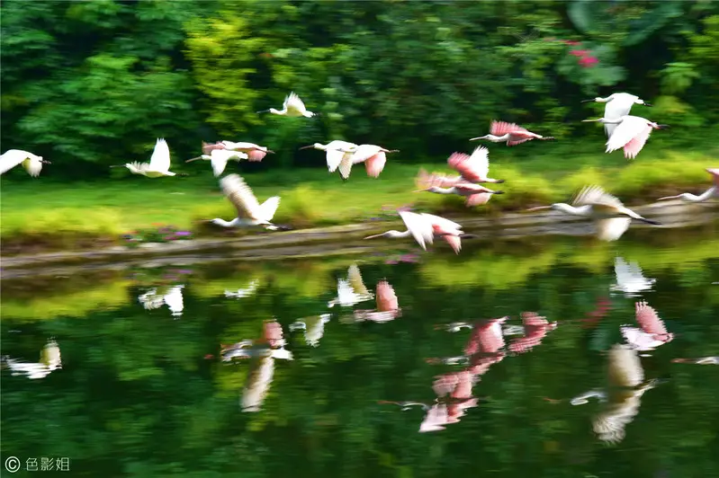 长隆欢乐世界旅游攻略景点必去（三天三夜欢乐长隆之旅）