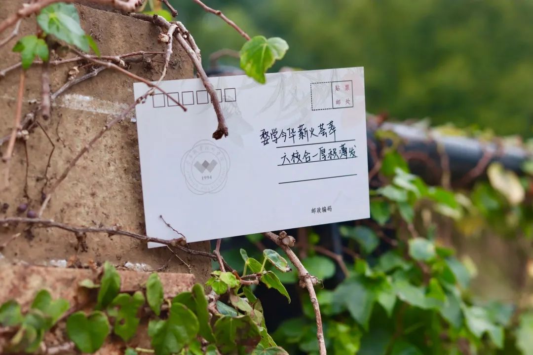 金职，生日快乐