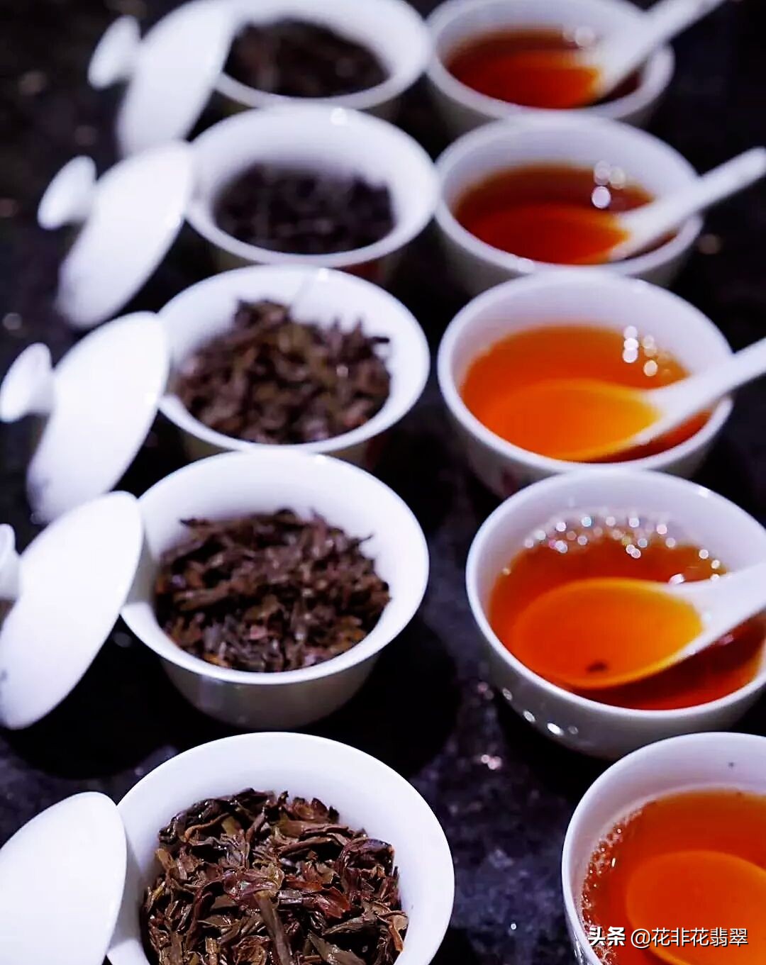 “茶王”大红袍母树仅存6株，生在“烂石”上，一斤茶价值500万元