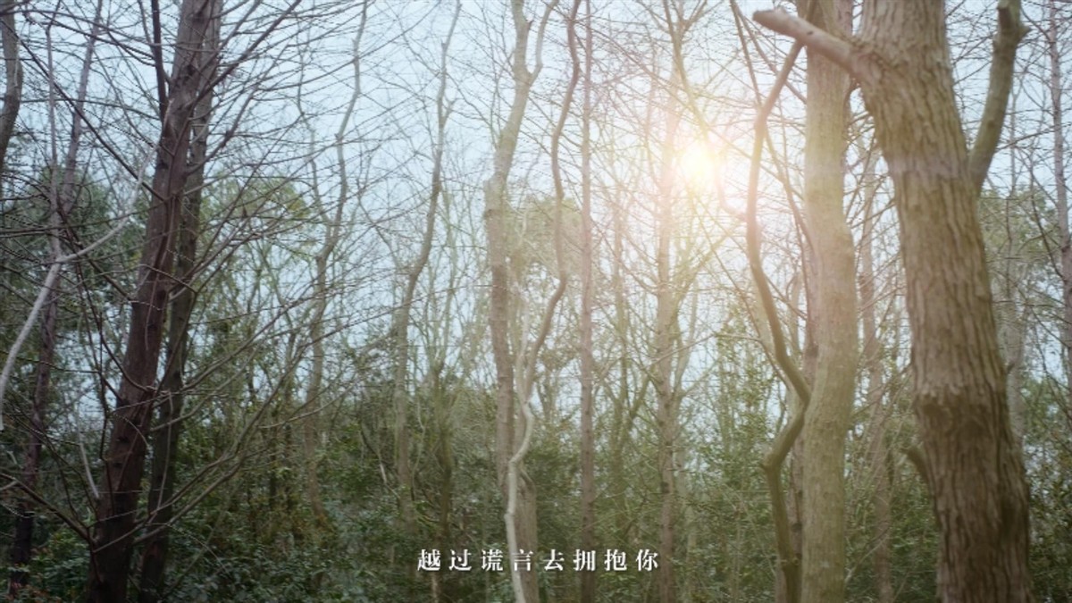 三星S21系列与张韶涵&卡斯沃共同展示了“夜空中最亮的星星”。