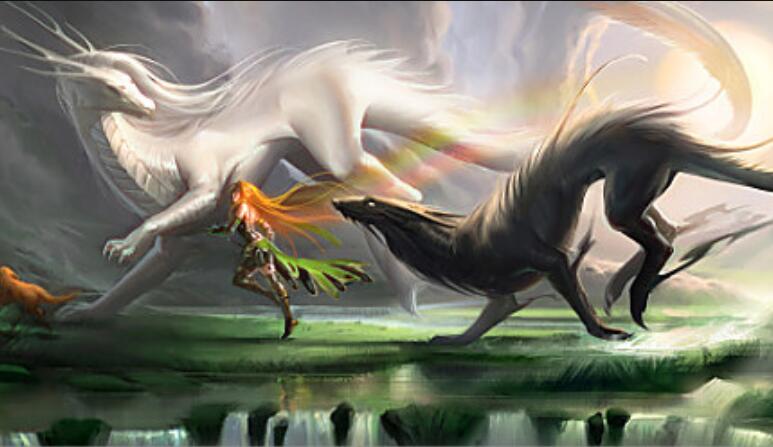 孕妈每晚都会梦见白色小飞龙孕妇梦到白色的小龙