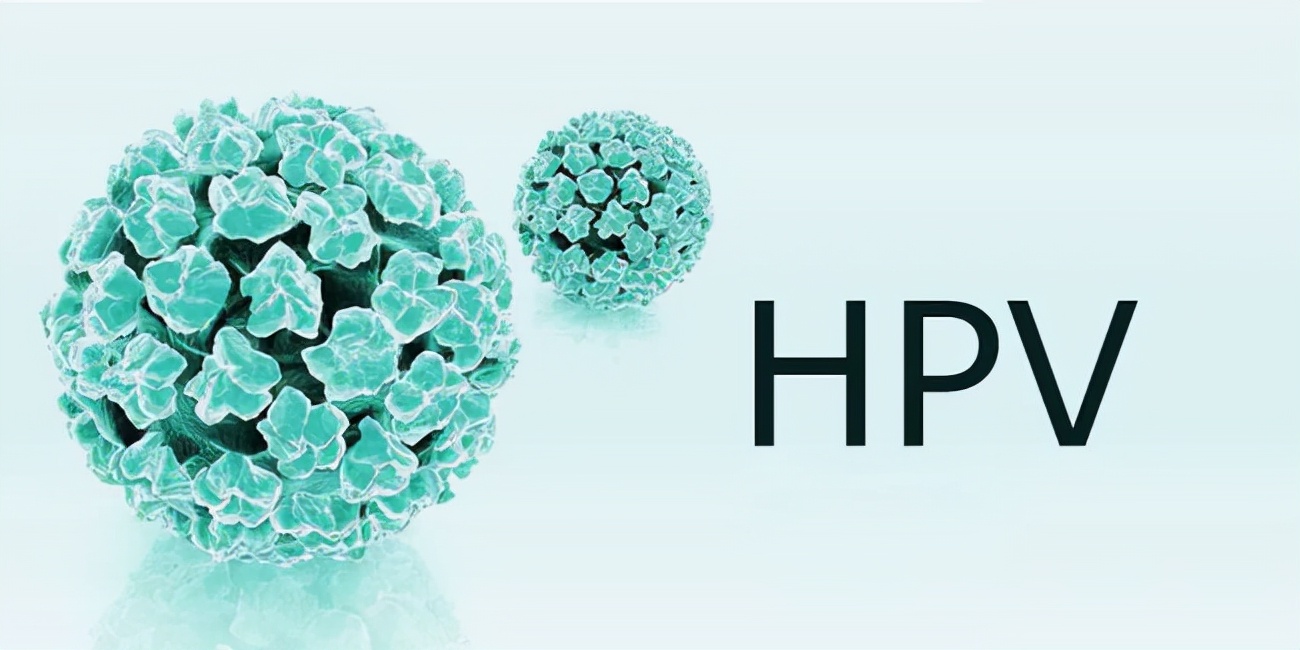 HPV的个人简历