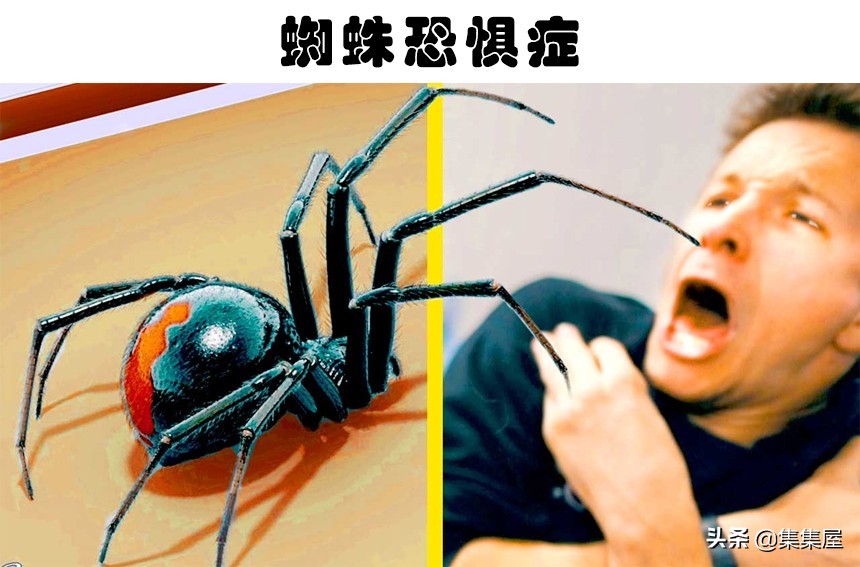 全球震惊的十大灵异事件：揭秘令人匪夷所思的怪异恐惧症