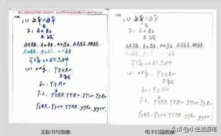 你有见过考研答题卡吗？每年都有超过1%的考生出现失误