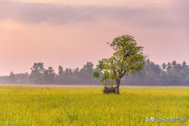 脸上的“痣”越长越大，会是皮肤癌吗？听听专家怎么说