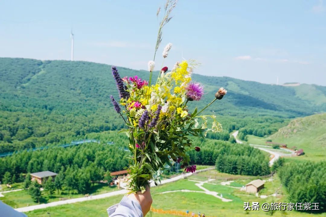 承德坝上，想和你潜入森林漫步草原，看日出日落，雨疏星骤