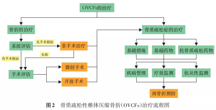 骨质疏松性椎体压缩骨折诊治专家共识（2021版）