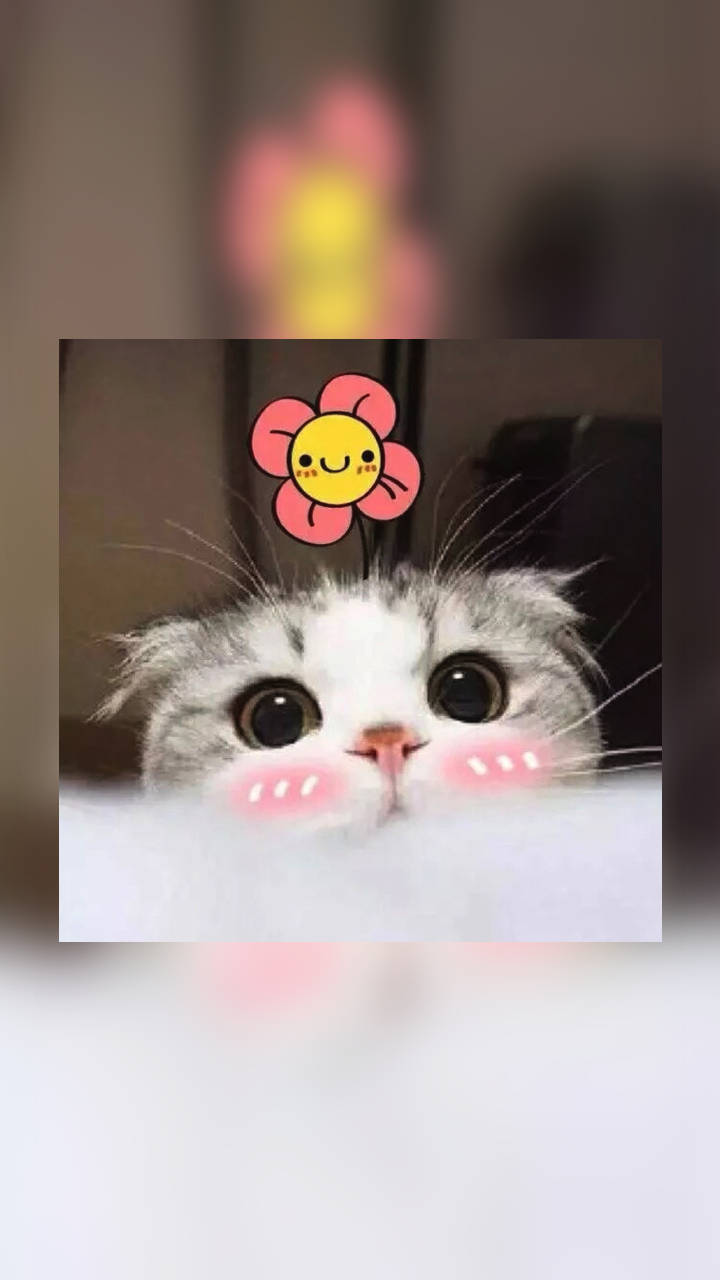 如此调皮可爱的句子,每天都想发一条到朋友圈,心情美美哒!