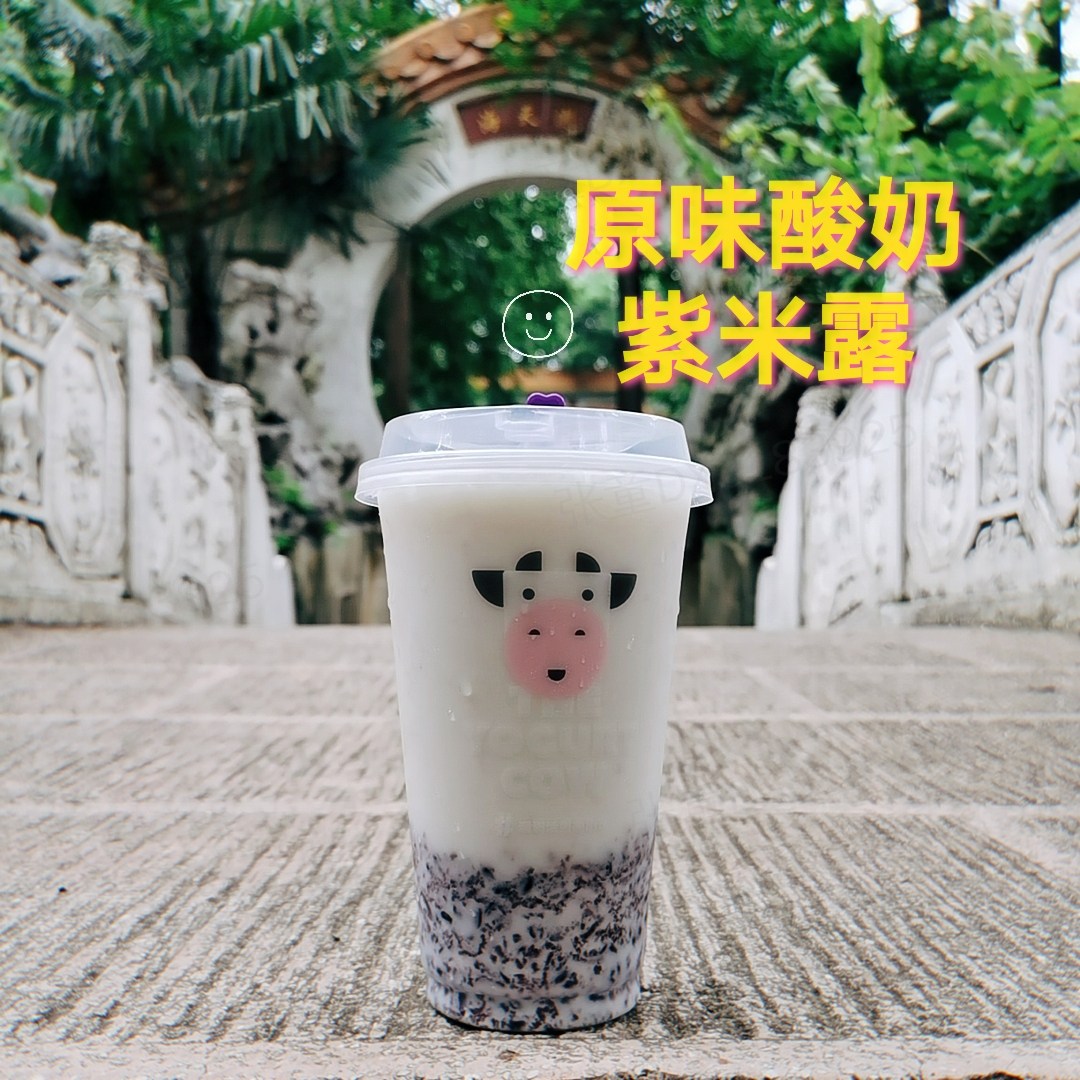 喜茶、乐乐茶、奈雪的茶…好喝但是太贵了！试试这些奶茶店