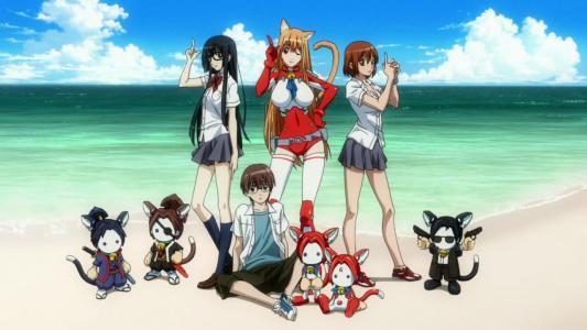 推荐40部后宫动漫，选出您心仪的一部