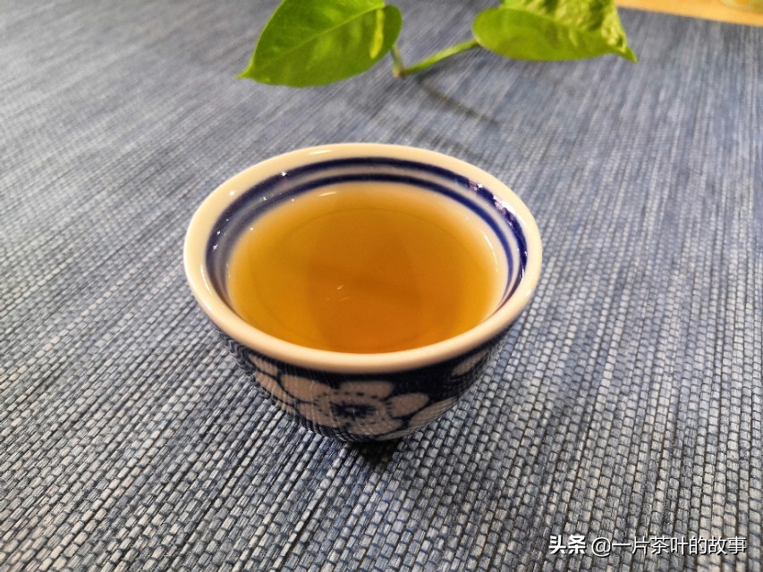 凤凰单丛茶是属于什么茶（一分钟全方位了解凤凰单丛）