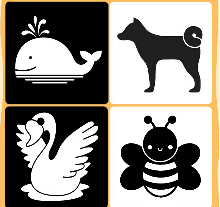 训练宝宝视觉发育的黑白卡有用吗?怎么使用?各位家长了解吗?