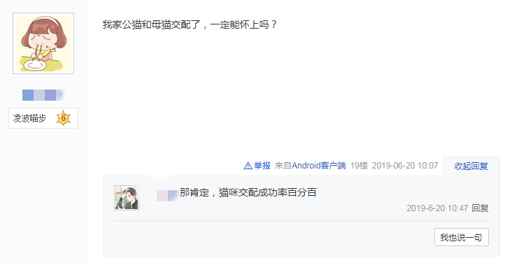 辟谣：并不是配了就能怀孕，关于猫咪假孕，你需要了解这些