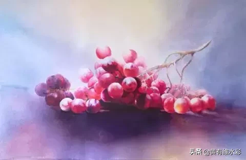 晶莹剔透、颗颗动人,水彩葡萄,真的太诱人了!