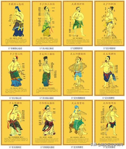 你了解经脉吗？十二经脉的位置、走向规律、交接规律及分布规律