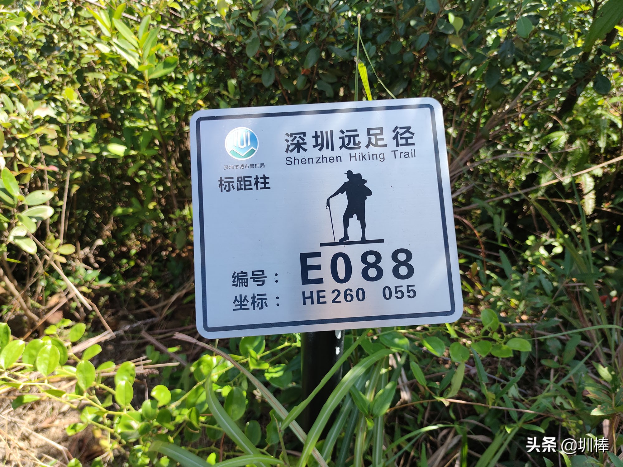 徒步深圳远足径马峦山，落日这么美，你不来看看吗？