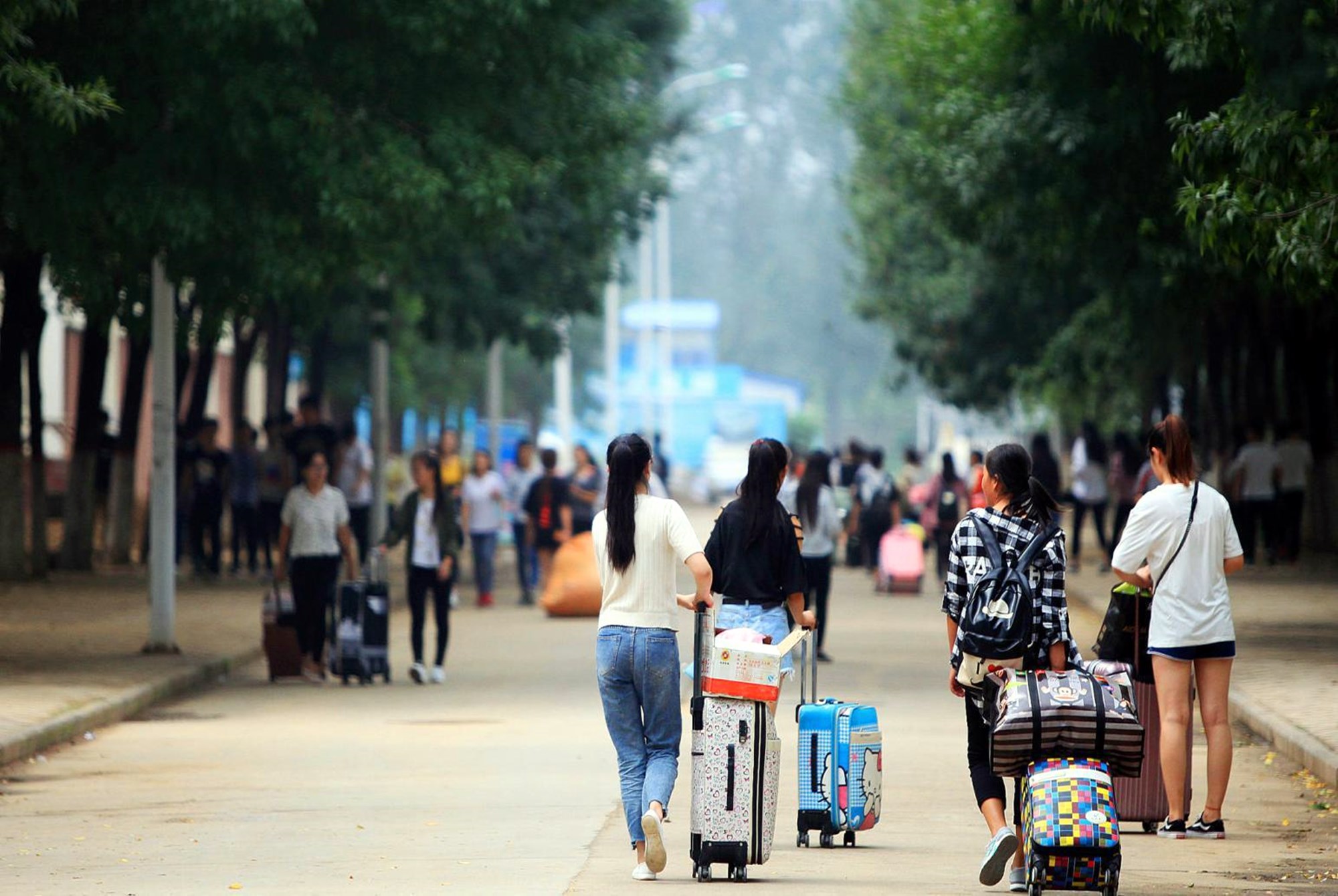 南北方大学的区别，看完这几种图片就能一目了然，大一新生最好奇