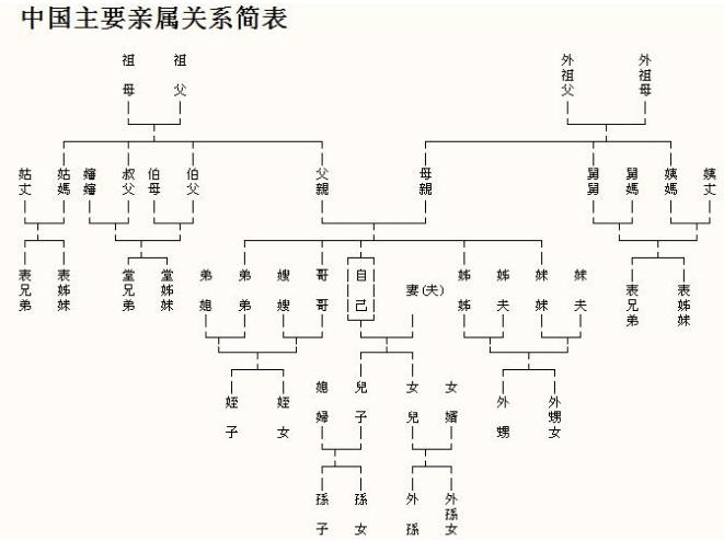 奶奶和孙女的关系叫什么？详细中国亲戚关系图表，拜年用得上-第9张图片