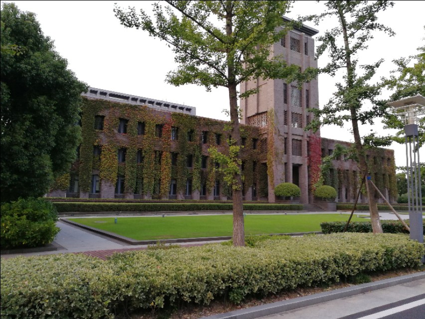 南京大学有几个校区（这里不仅有大树）