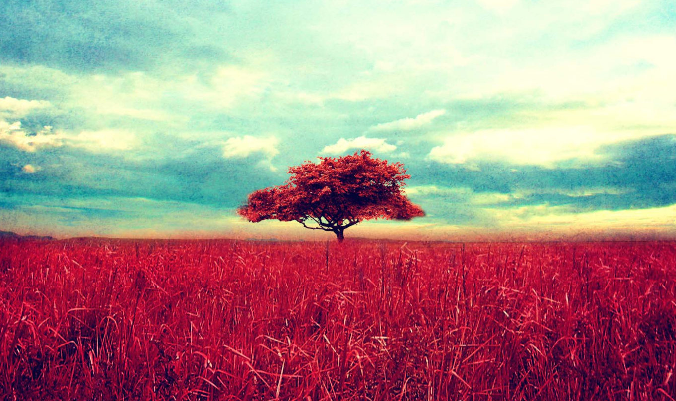 金牛座爱上一个人的时候，会是怎么样的？