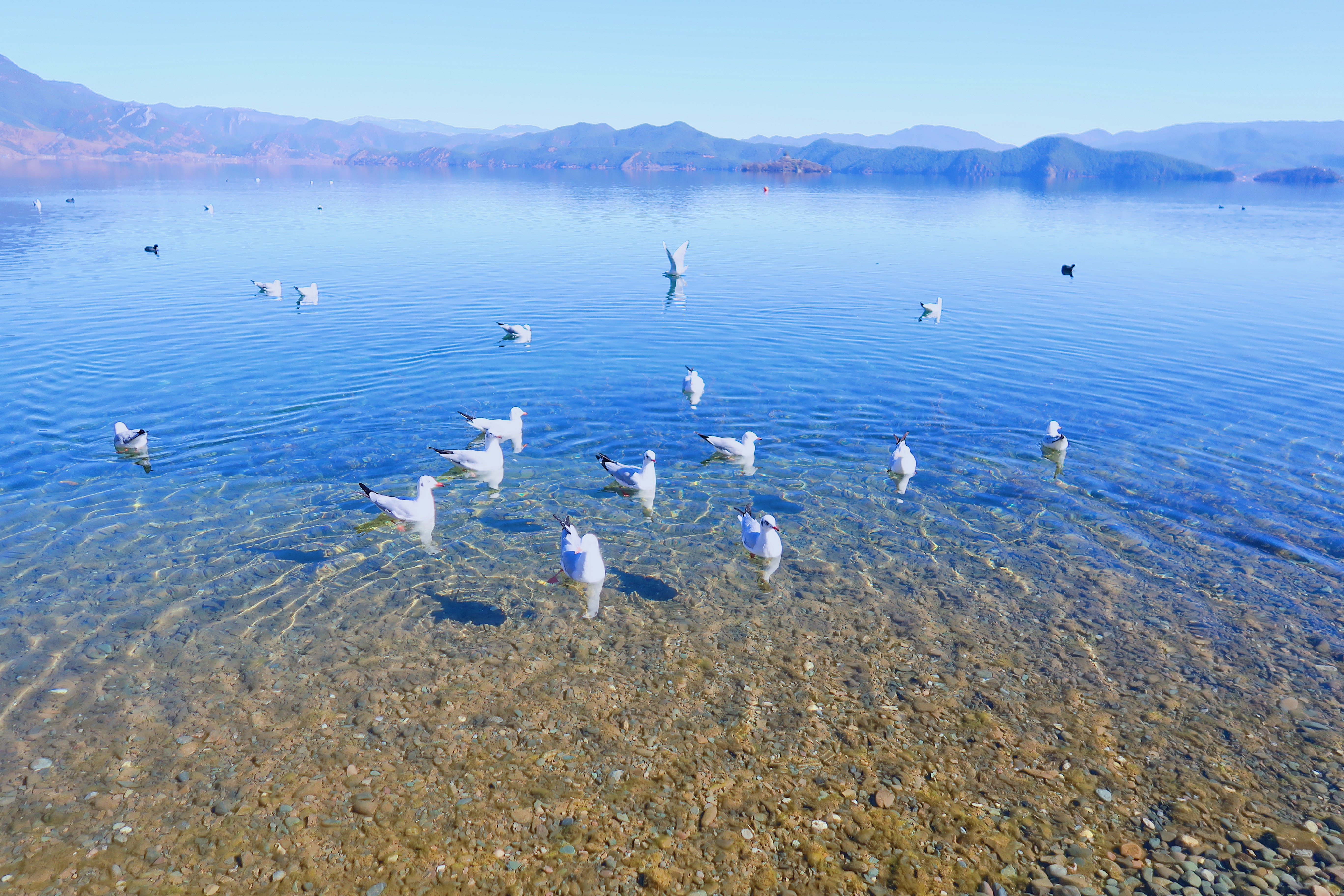 「2019最新」「自驾西昌泸沽湖走心超全旅游攻略，收藏这篇就够了」