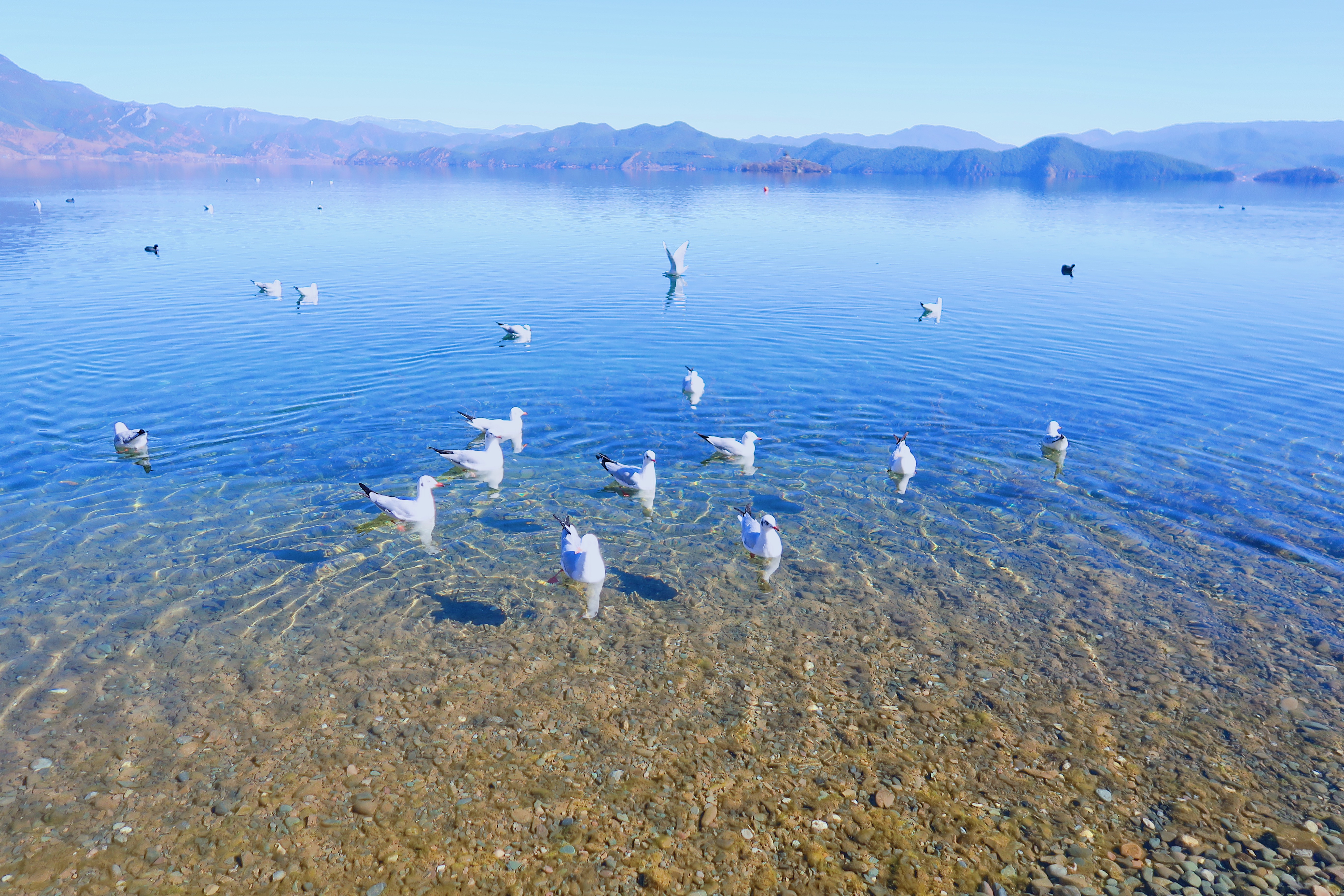 「2019最新」「自驾西昌泸沽湖走心超全旅游攻略，收藏这篇就够了」