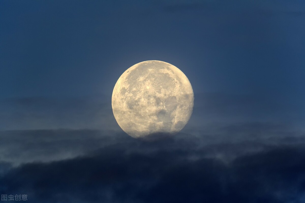 夏日虫儿飞向有情的季节里