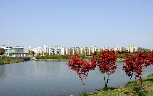 安徽师范大学艺术类录取1100人，2022届艺术专业报考需要多少分？