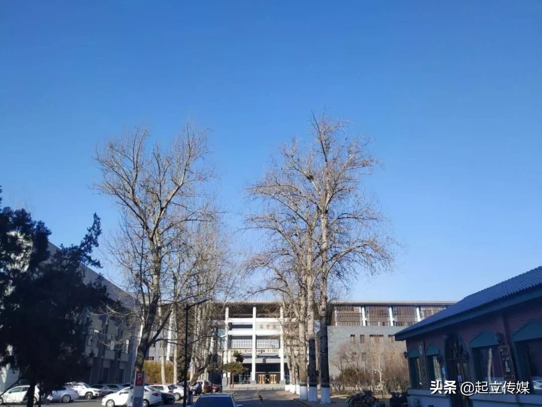 艺术生高考有多难？为了能学好文化课，我求老师不要赶我去普通班