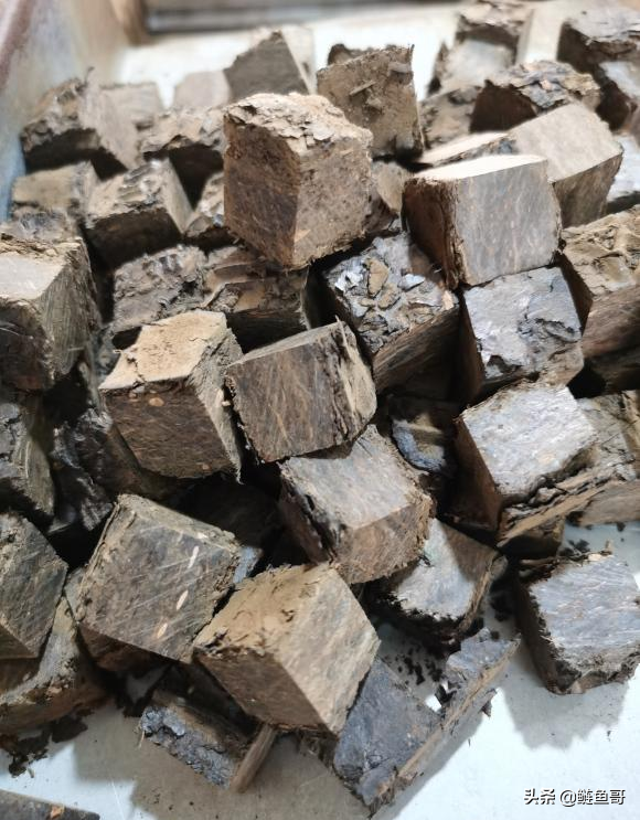 紧压茶砖撬开方法与工具使用指南