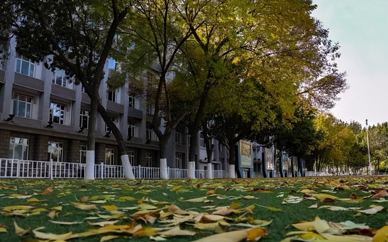 中等生就能考上的军校，毕业会有铁饭碗，薪资好待遇高