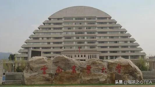 这些茶学专业的高校你知道吗？