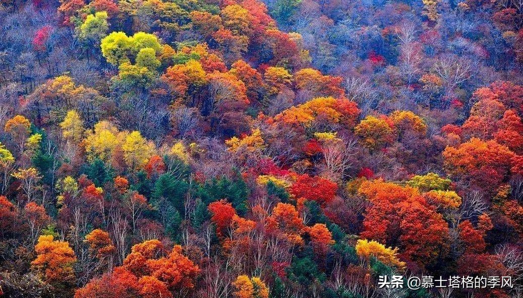 金秋十月，到辽宁这几个地方走走，寻找你梦中那个惊艳至极的秋