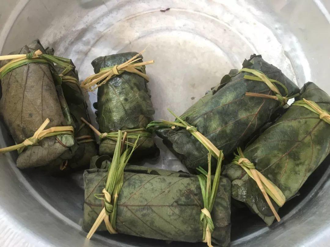 包粽子的叶子叫什么(箬叶)-图1