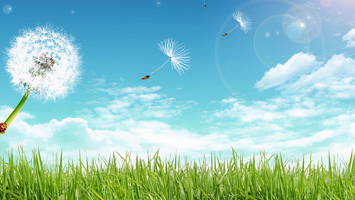 而且很多男生也希望自己的英文名给人以阳光,充满活力的印象,下面是小