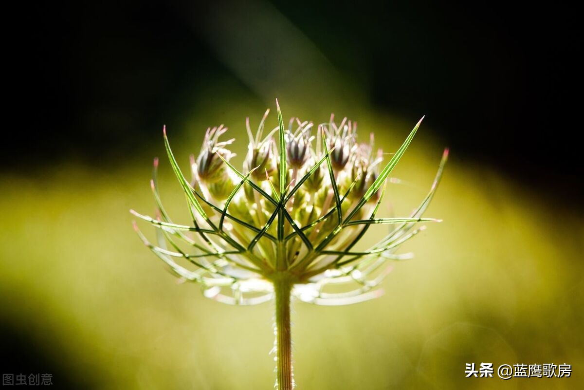 8月3日最棒的正能量励志经典语录