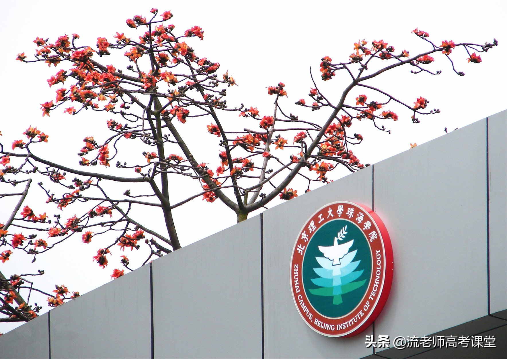 高考600分放弃读211大学，反而青睐民办院校，这到底是怎么回事？