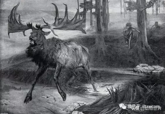 10种曾与人类同行的巨型野兽